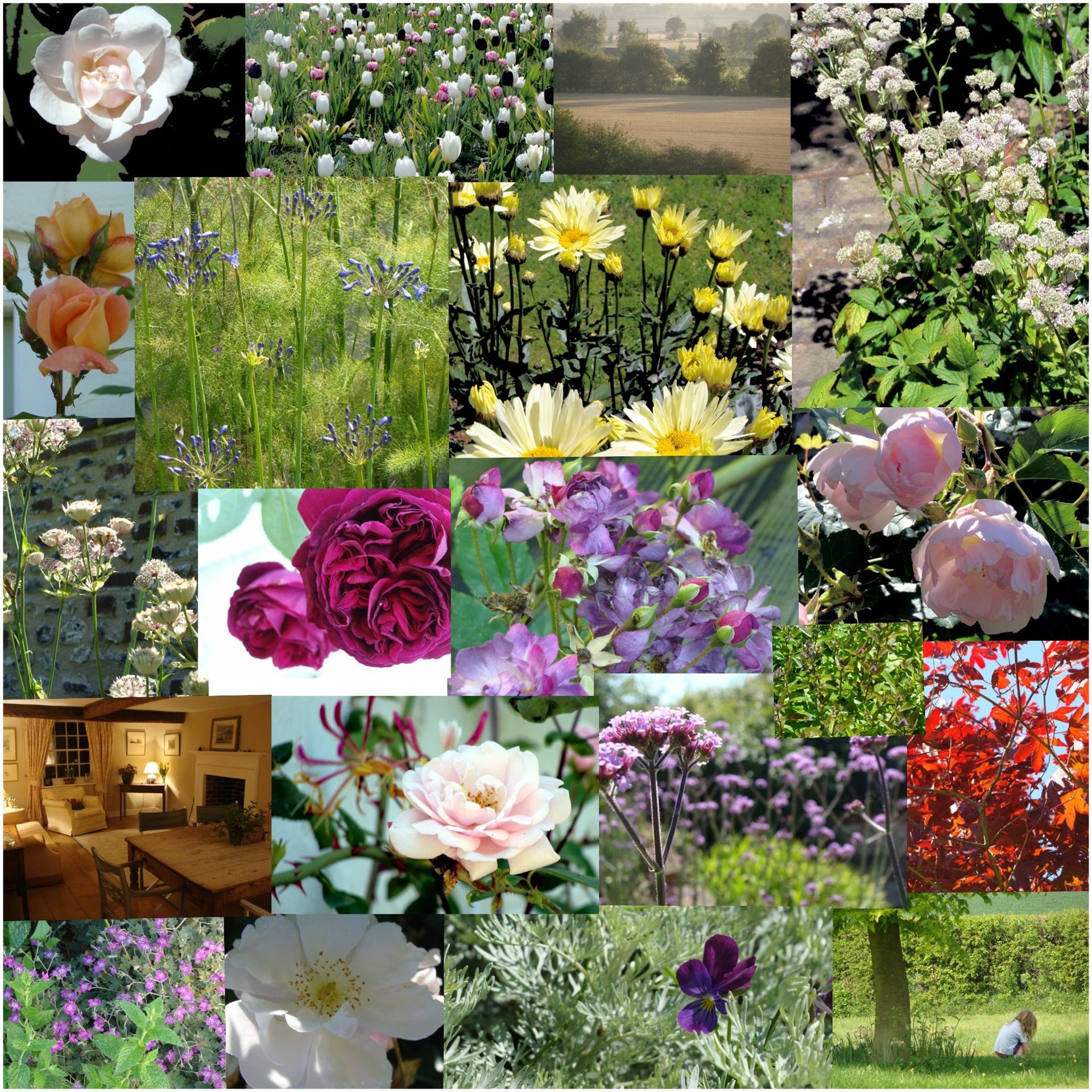 Plantsmanship