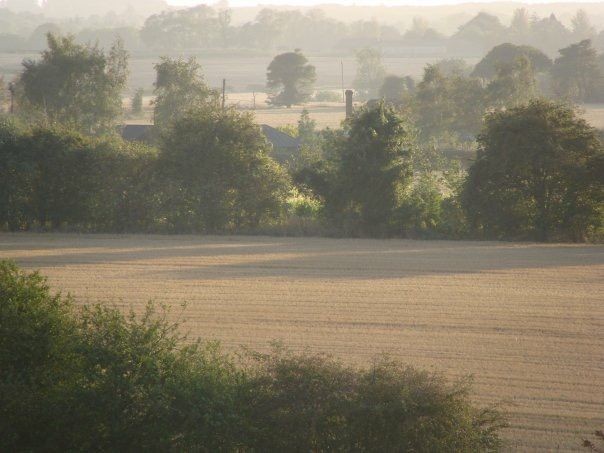 Landscapes & The Environment